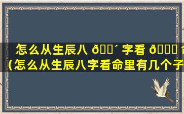 怎么从生辰八 🐴 字看 🐈 命（怎么从生辰八字看命里有几个子女）